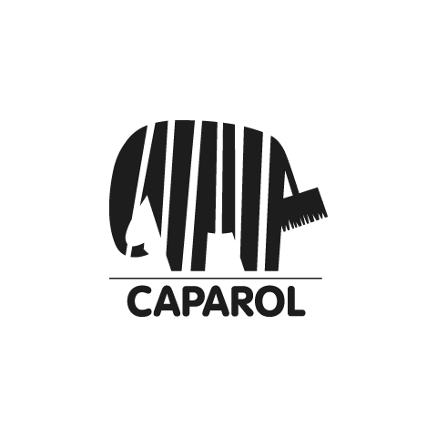 CAPAROL - Qualitätspartner von Alexander Stiller Malerhandwerk aus Dresden CAPAROL - Qualitätspartner von Alexander Stiller Malerhandwerk aus Dresden